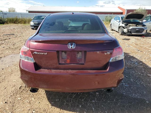 1HGCP36869A013187 - 2009 HONDA ACCORD EXL მუქწითელი ფოტო 6