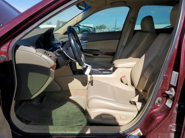 1HGCP36869A013187 - 2009 HONDA ACCORD EXL მუქწითელი ფოტო 7