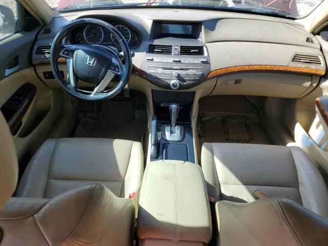 1HGCP36869A013187 - 2009 HONDA ACCORD EXL მუქწითელი ფოტო 8