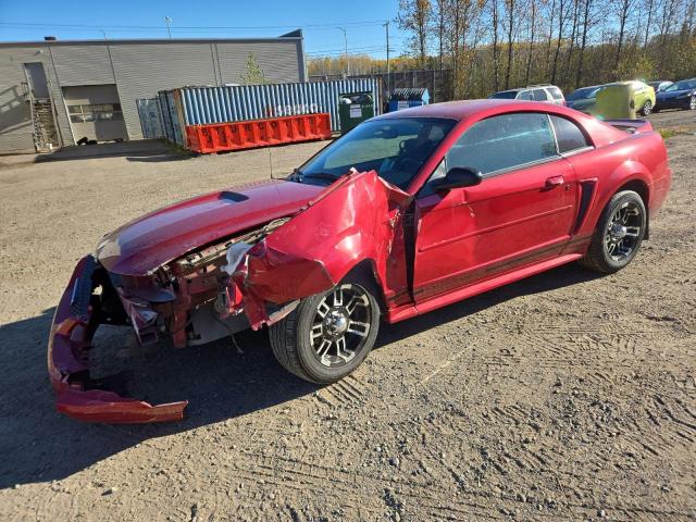 2000 FORD MUSTANG, 