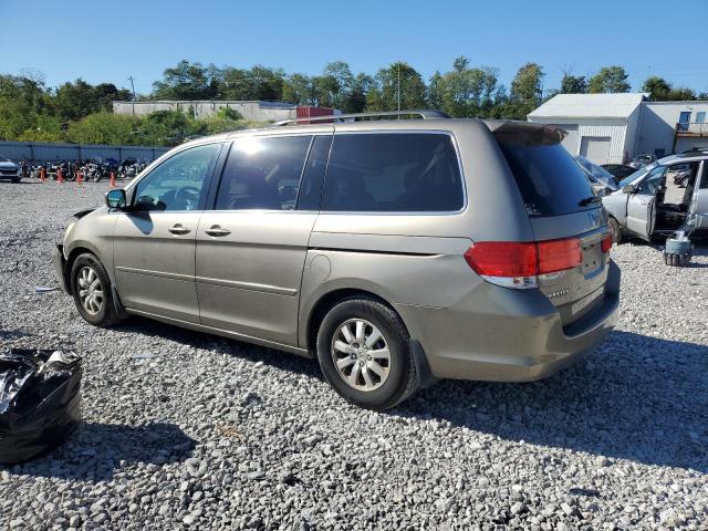 5FNRL3H48AB081226 - 2010 HONDA ODYSSEY EX BEIGE photo 2