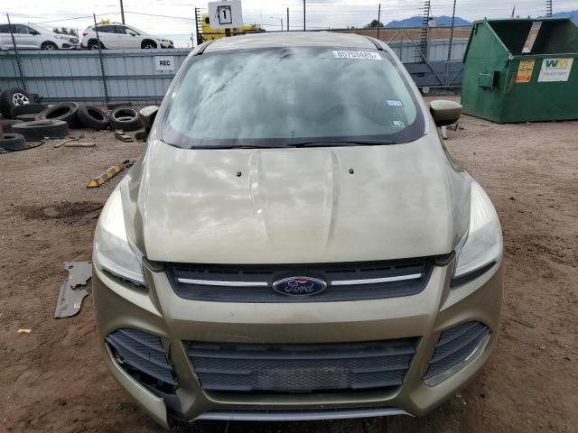 1FMCU0G90DUD13999 - 2013 FORD ESCAPE SE أخضر صورة 5