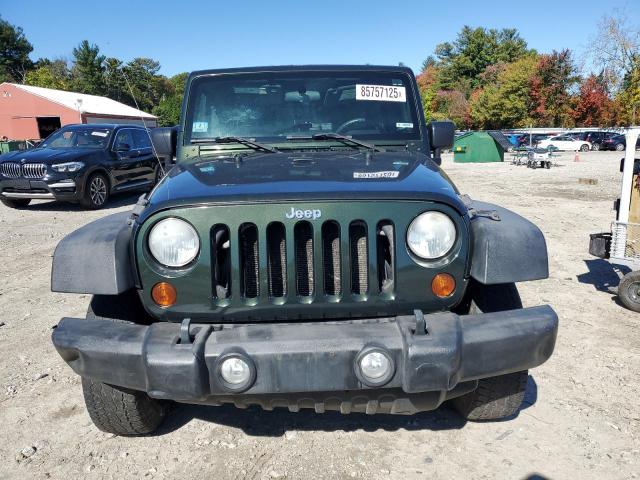 1J4BA3H19AL212698 - 2010 JEEP WRANGLER U SPORT Grün Foto 5