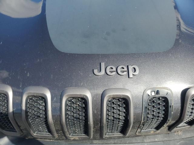 1C4PJMBS9HW621358 - 2017 JEEP CHEROKEE TRAILHAWK GRAY photo 11