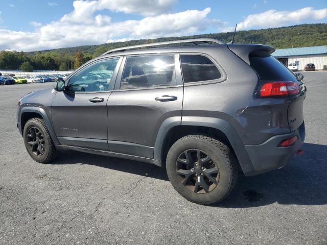 1C4PJMBS9HW621358 - 2017 JEEP CHEROKEE TRAILHAWK GRAY photo 2