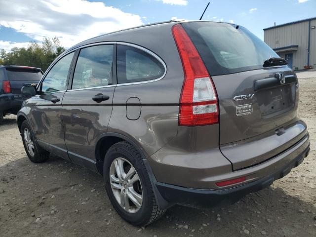 5J6RE4H33AL072352 - 2010 HONDA CR-V LX Қоңыр фото 2
