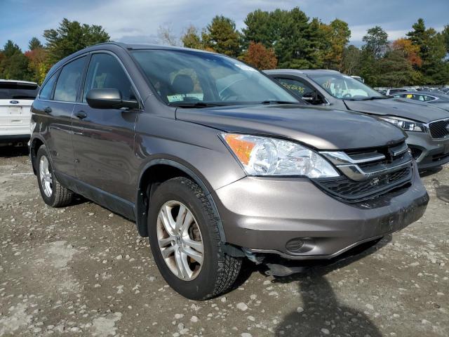 5J6RE4H33AL072352 - 2010 HONDA CR-V LX Қоңыр фото 4