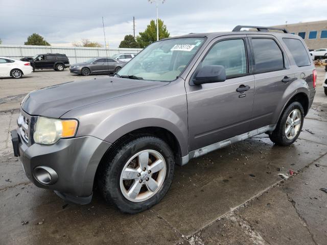 2010 FORD ESCAPE XLT, 