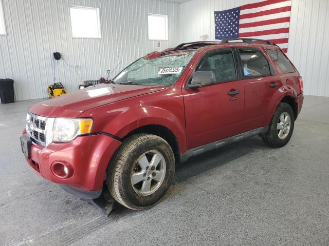 2010 FORD ESCAPE XLT, 