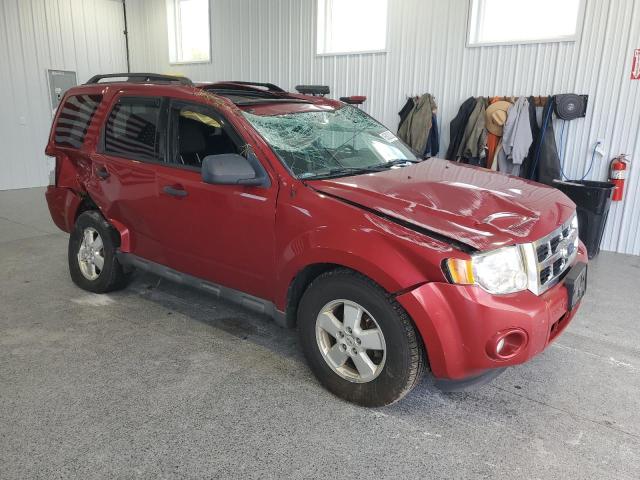 1FMCU0DG9AKA53550 - 2010 FORD ESCAPE XLT 红色 照片 4
