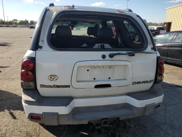 1GNDT13S532242052 - 2003 CHEVROLET TRAILBLAZE 白色 照片 6