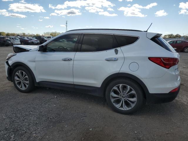 5XYZUDLA8EG174231 - 2014 HYUNDAI SANTA FE S WHITE photo 2