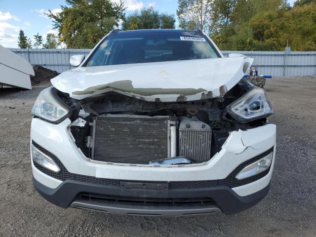 5XYZUDLA8EG174231 - 2014 HYUNDAI SANTA FE S WHITE photo 5