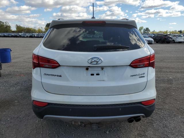 5XYZUDLA8EG174231 - 2014 HYUNDAI SANTA FE S WHITE photo 6
