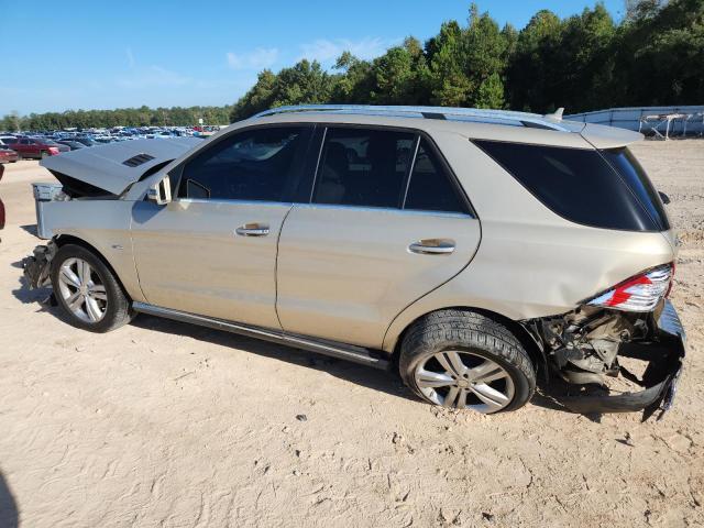 4JGDA5HB5CA082335 - 2012 MERCEDES-BENZ ML 350 4MATIC GOLD photo 2