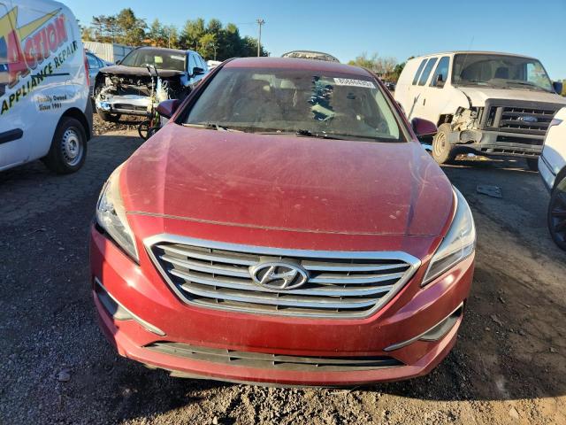 5NPE24AF0GH381176 - 2016 HYUNDAI SONATA SE 勃艮第红 照片 5