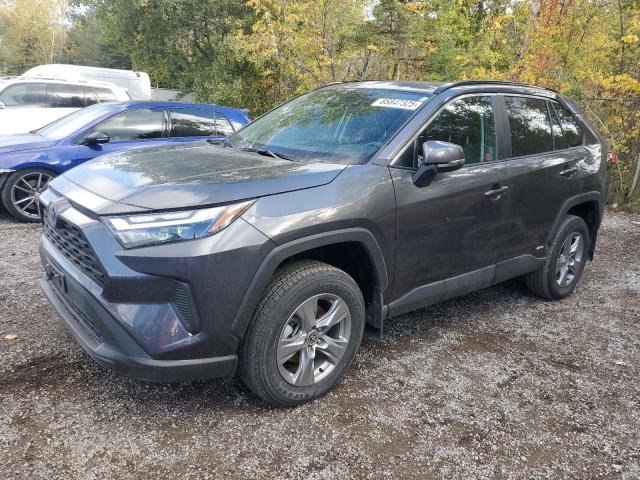 2024 TOYOTA RAV4 XLE, 