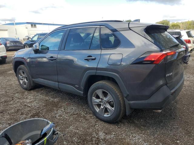 2T3RWRFV3RW234588 - 2024 TOYOTA RAV4 XLE 灰色 照片 2
