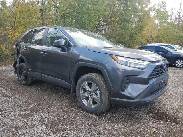 2T3RWRFV3RW234588 - 2024 TOYOTA RAV4 XLE 灰色 照片 4