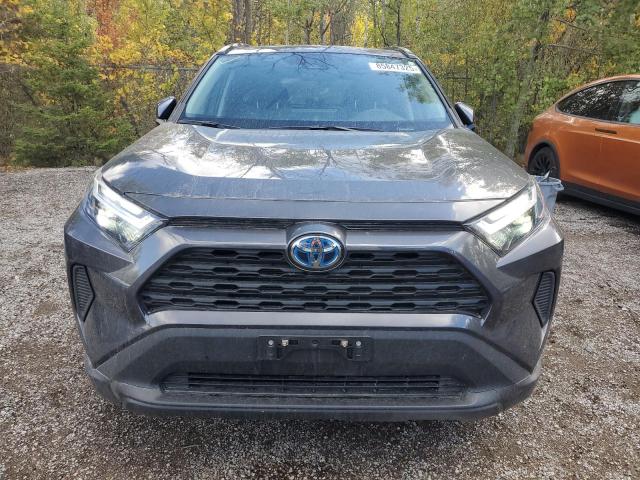 2T3RWRFV3RW234588 - 2024 TOYOTA RAV4 XLE 灰色 照片 5
