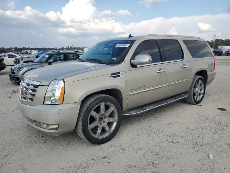 2012 CADILLAC ESCALADE ESV LUXURY, 