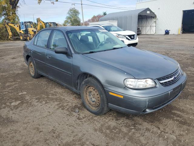 1G1ND52J33M738779 - 2003 CHEVROLET MALIBU GRAY photo 4