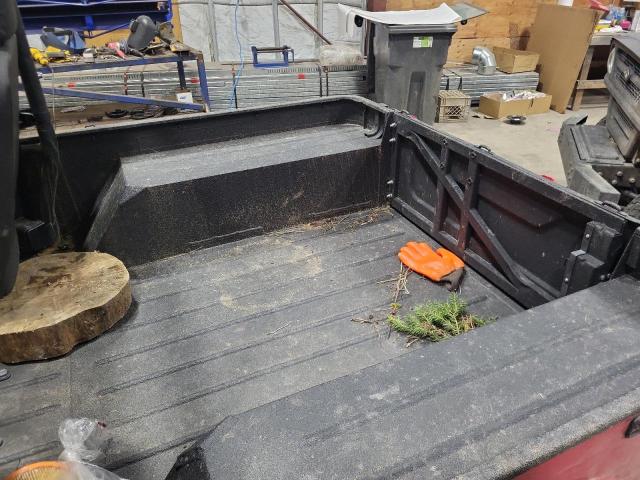 20MGCAAEXRB011614 - 2024 MAHINDRA AND MAHINDRA ROXOR Красный фото 10