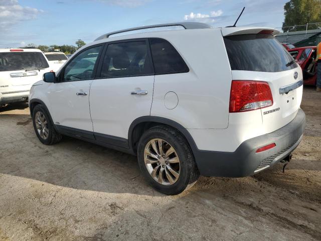 5XYKUDA24BG033844 - 2011 KIA SORENTO EX Ağ foto 2