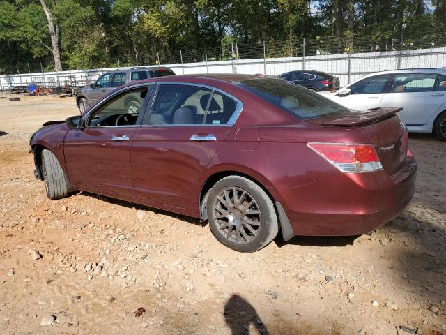 1HGCP36869A032290 - 2009 HONDA ACCORD EXL BURGUNDY photo 2