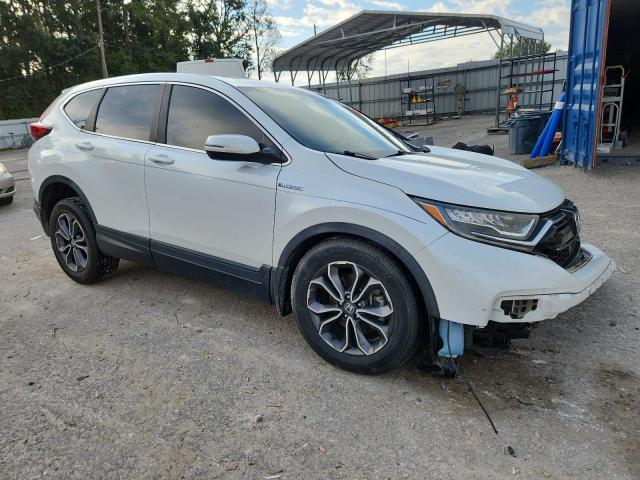 7FART6H84LE027241 - 2020 HONDA CR-V EXL 白色 照片 4