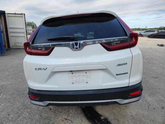 7FART6H84LE027241 - 2020 HONDA CR-V EXL 白色 照片 6