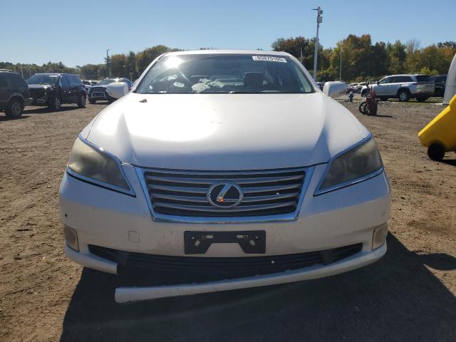 JTHBK1EG8C2479418 - 2012 LEXUS ES 350 WHITE photo 5