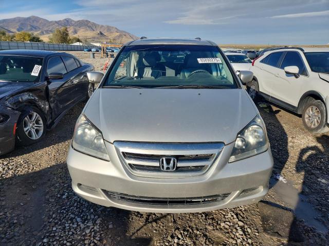 5FNRL38697B456826 - 2007 HONDA ODYSSEY EXL ვერცხლისფერი ფოტო 5