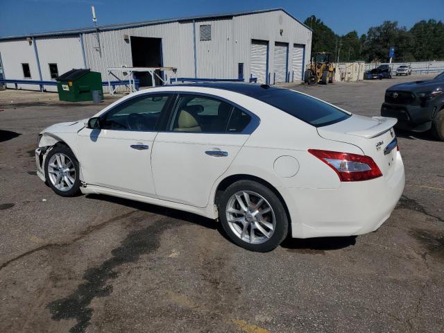 1N4AA5AP7BC869194 - 2011 NISSAN MAXIMA S Ağ foto 2