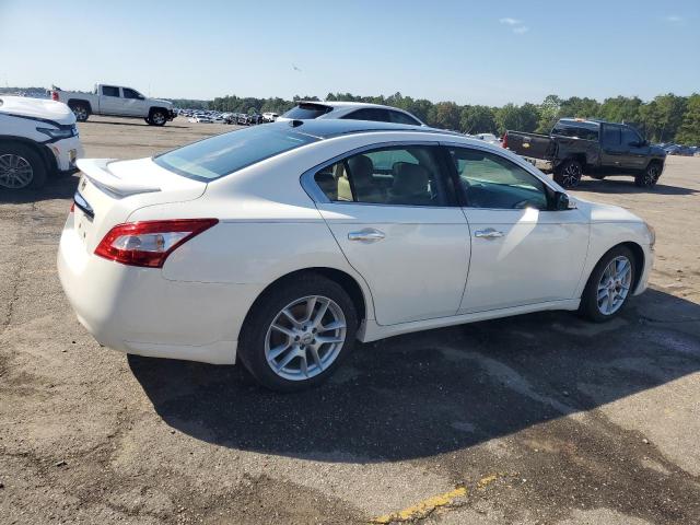 1N4AA5AP7BC869194 - 2011 NISSAN MAXIMA S Ağ foto 3