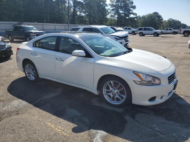 1N4AA5AP7BC869194 - 2011 NISSAN MAXIMA S Ağ foto 4