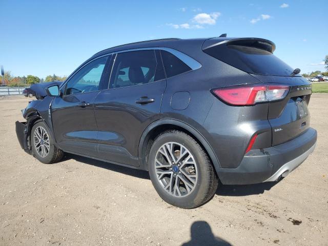 1FMCU0H62LUA97527 - 2020 FORD ESCAPE SEL GRAY photo 2