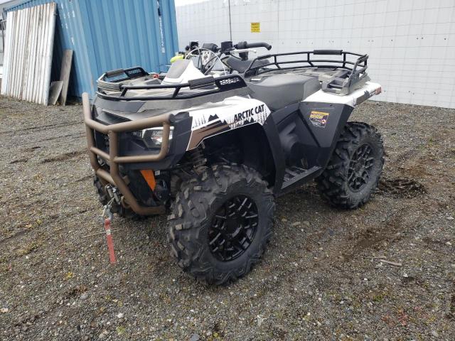 4UF1A4GB0PT202368 - 2023 ARCT ALTERRA 600 EPS WHITE photo 2