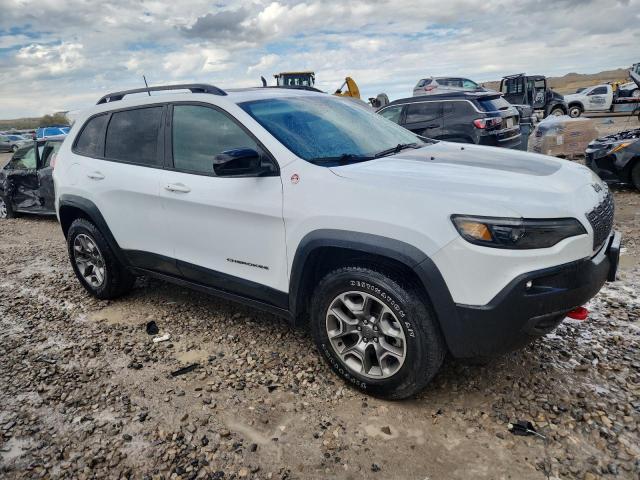 1C4PJMBXXND503872 - 2022 JEEP CHEROKEE TRAILHAWK WHITE photo 4
