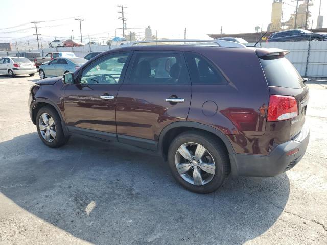 5XYKU4A24DG339316 - 2013 KIA SORENTO EX 勃艮第红 照片 2