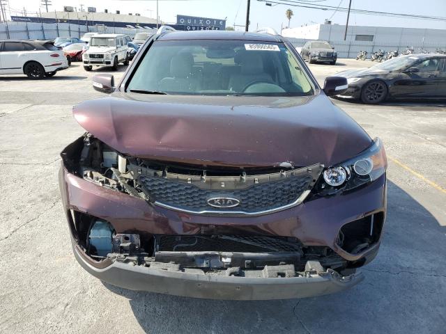5XYKU4A24DG339316 - 2013 KIA SORENTO EX 勃艮第红 照片 5