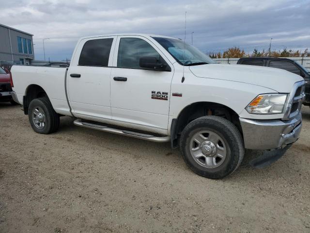 3C6TR5CT4HG740025 - 2017 RAM 2500 ST أبيض صورة 4