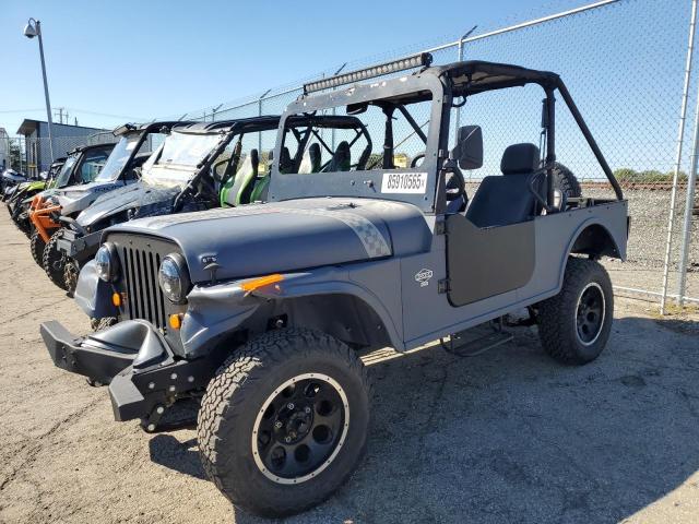 A5ZAAAAAVJA001189 - 2018 MAHINDRA AND MAHINDRA ROXOR Серый фото 2