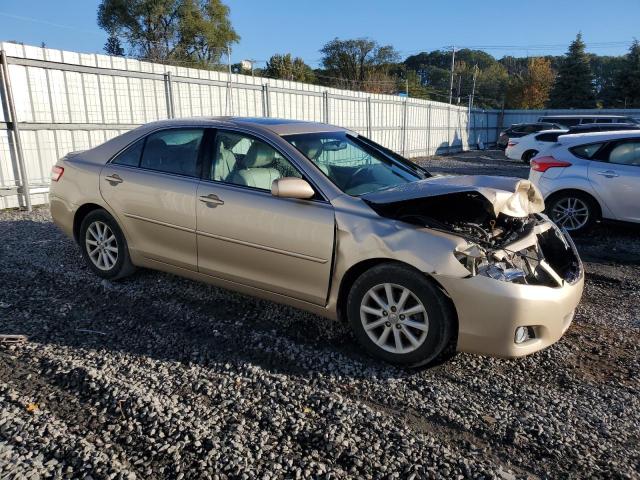 4T4BF3EKXAR063699 - 2010 TOYOTA CAMRY BASE Dorado foto 4