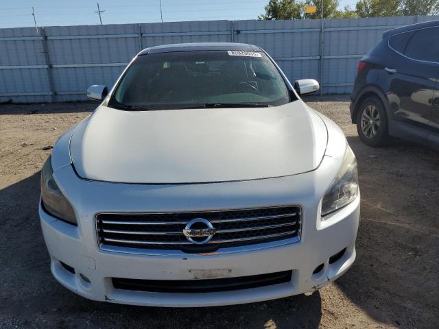 1N4AA51E79C822272 - 2009 NISSAN MAXIMA S თეთრი ფოტო 5