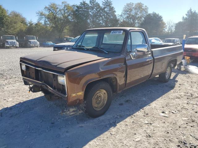 1981 CHEVROLET C10, 