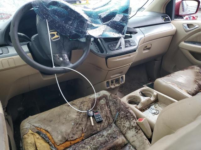 5FNRL38625B416455 - 2005 HONDA ODYSSEY EXL RED photo 8