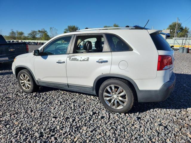 5XYKUCA19BG020301 - 2011 KIA SORENTO EX WHITE photo 2