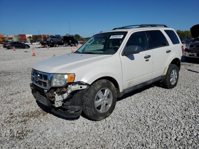 2009 FORD ESCAPE XLT, 
