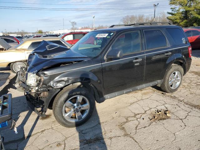 2011 FORD ESCAPE XLT, 